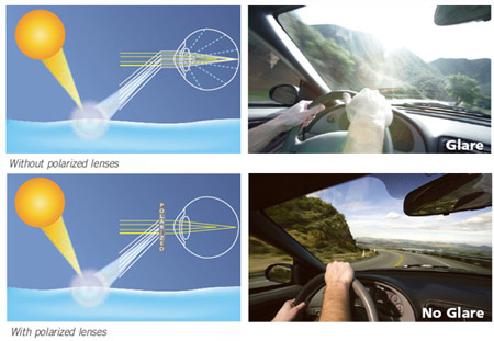 Polarised Safety Glasses